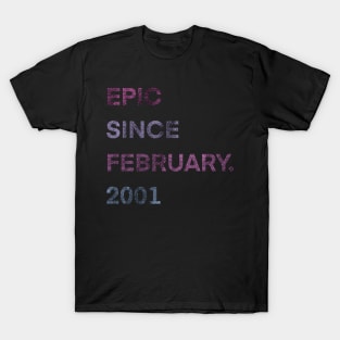 epic since february 2001 20th Gift Birthday 20 Years Old T-Shirt